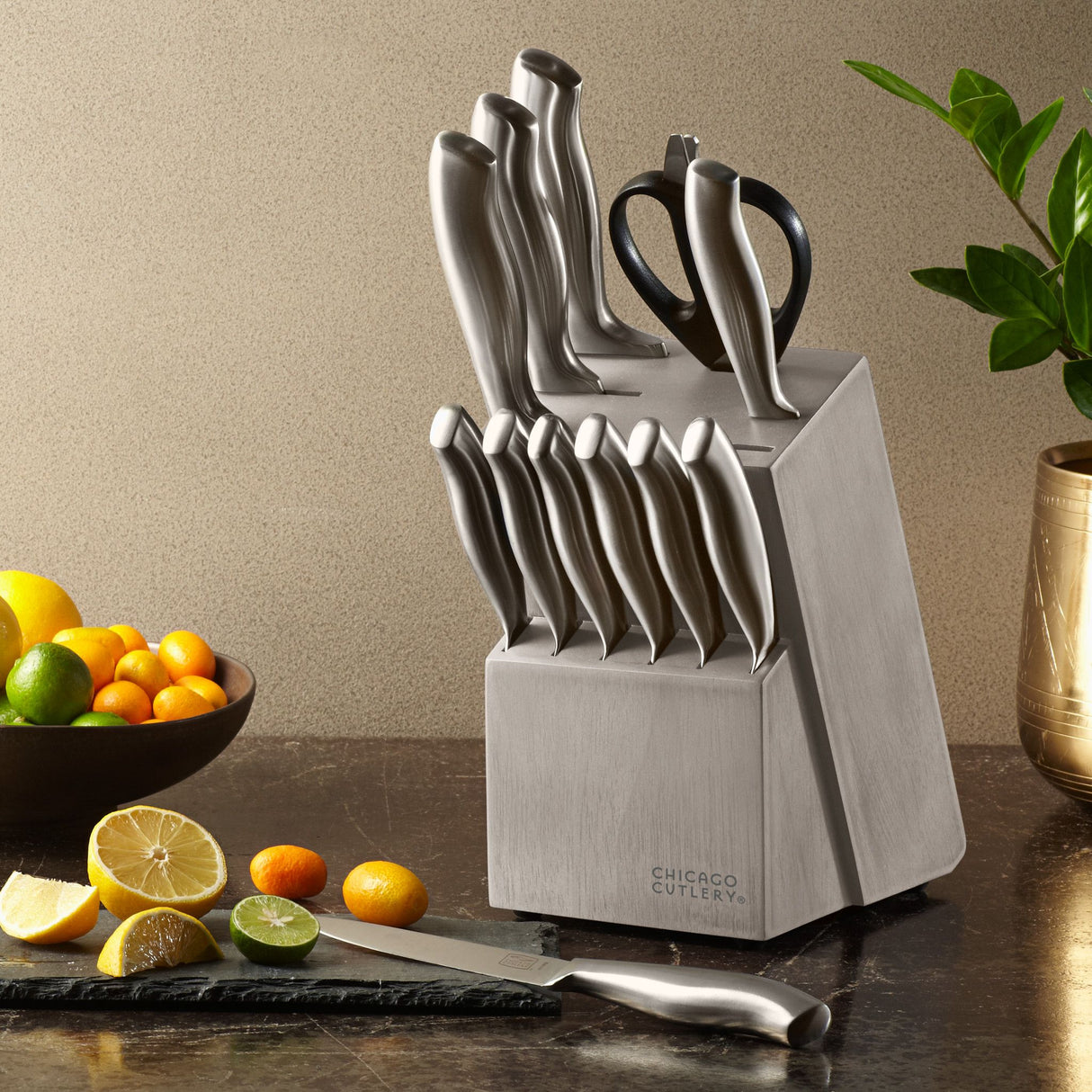 Insignia Steel 13-pc Block Set on the Counter